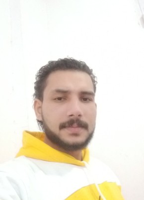 Seid, 31, جمهورية مصر العربية, كفر الشيخ