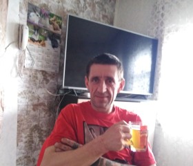 Сергей, 43 года, Купино