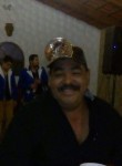 Fernando, 60 лет, Guadalajara
