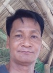 Mario Cabana, 59 лет, Cabanatuan City