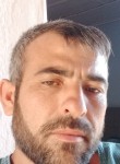 Mustafa, 38 лет, Ankara