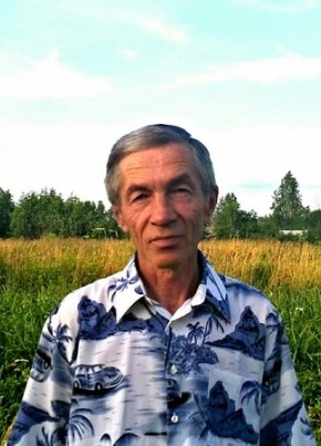 Лев, 69, Россия, Муром