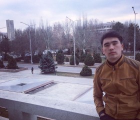 Дима, 23 года, Бишкек