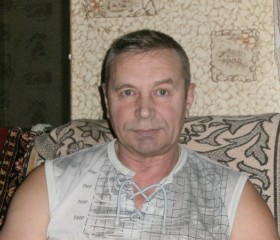 Владимир, 70 лет, Тула