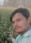 Dil k Arman, 31 год, Hasanpur