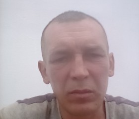 Андрей, 44 года, Лосино-Петровский