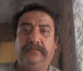 Luis, 54 года, Aguascalientes