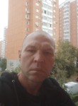 Александр Катрюк, 43 года, Подольск