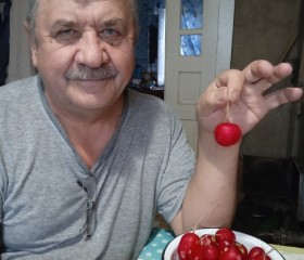 Сергей, 65 лет, Котлас