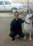 дима, 33 года