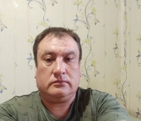 Dmitriy, 44, Zeya