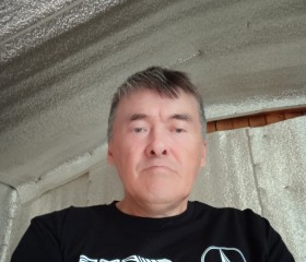 Ефим, 54 года, Советский (Югра)
