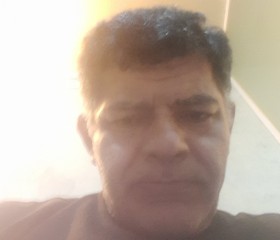Paeman, 38, Shiraz
