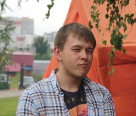 Лев, 34 года, Пермь