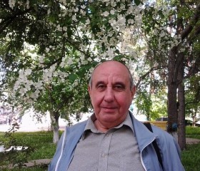 Сергей, 73 года, Киров
