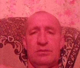 николай, 46 лет, Усть-Ишим