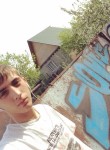Кирилл, 27 лет, Алматы