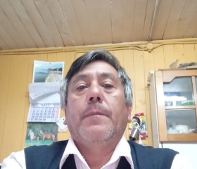 Arsenio, 57 лет, Puerto Montt