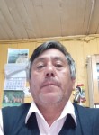 Arsenio, 56  , Puerto Montt