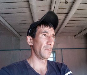 Николай Петренко, 43 года, Чита
