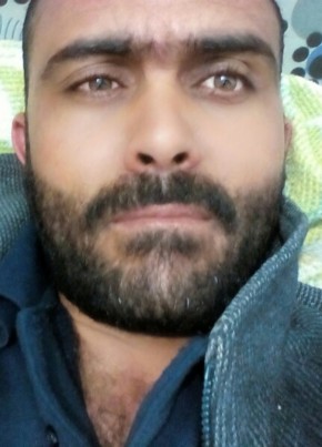 fawzi assadak, 42, تونس, تونس