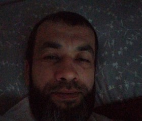 Тимур, 43 года, Toshkent