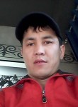 Данияр, 43 года, Бишкек