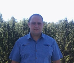 Денис, 43 года, Брянск