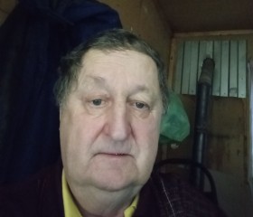 Виктор, 70 лет, Саратов