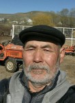 axmed, 61  , Tashkent