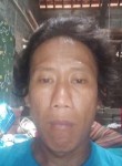 Samidi, 34 года, Daerah Istimewa Yogyakarta