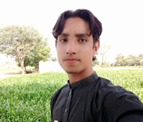 Malik.AliHassan, 20 лет, فیصل آباد