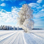 Открыть в полном размере