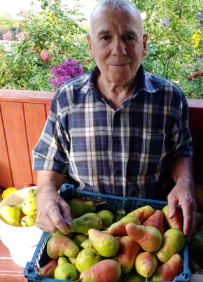 Анатолий, 72, Россия, Кашира