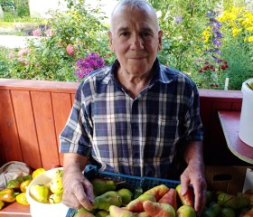 Анатолий, 72 года, Кашира