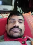 Ajay Kumar, 31 год, Ludhiana