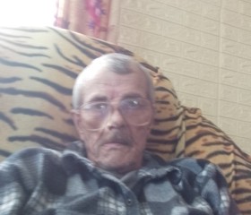 vladimirvorgodae, 71 год, Саранск