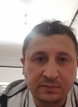 mustafa, 41 год, Aliağa