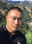 尼古莱, 39 лет, 北京市
