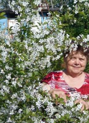 ляля, 72, Россия, Тамбов