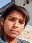 Prince Sharma, 19 лет, Jaipur