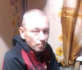 александ данилов, 53 года, Вышний Волочек