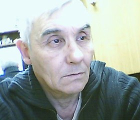 Алекс, 76 лет, Владимир