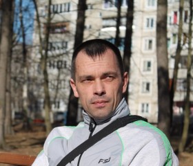 Дмитрий, 47 лет, Кремёнки