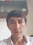 Муталбе Аюпов, 38 лет, Toshkent