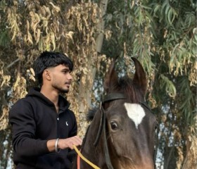 Harsh, 21, Ludhiana