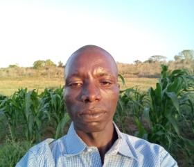 Antony katana, 30 лет, Nairobi