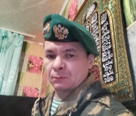 Ринар, 43 года, Челябинск