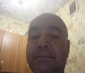 Дмитрий, 49 лет, Барнаул