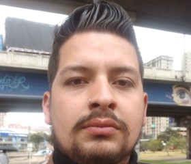 heresmildo peña, 25 лет, Santafe de Bogotá